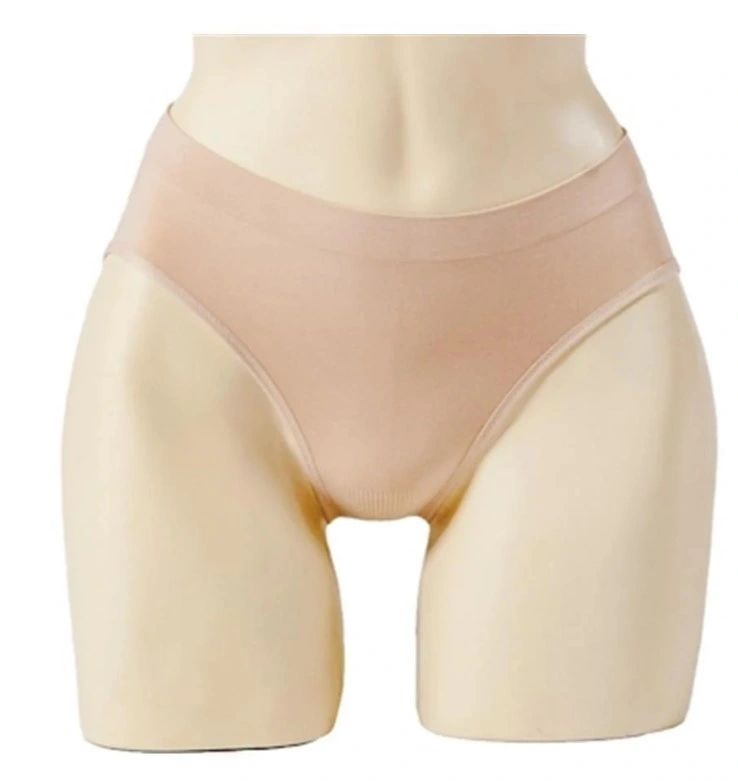 PW Microfibre Brief Adult